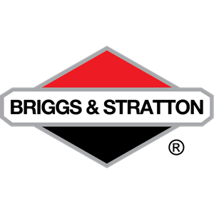 Briggs and Stratton